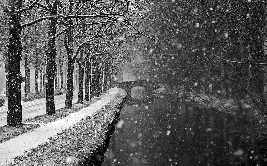 Winter Snow Storm HD wallpaper