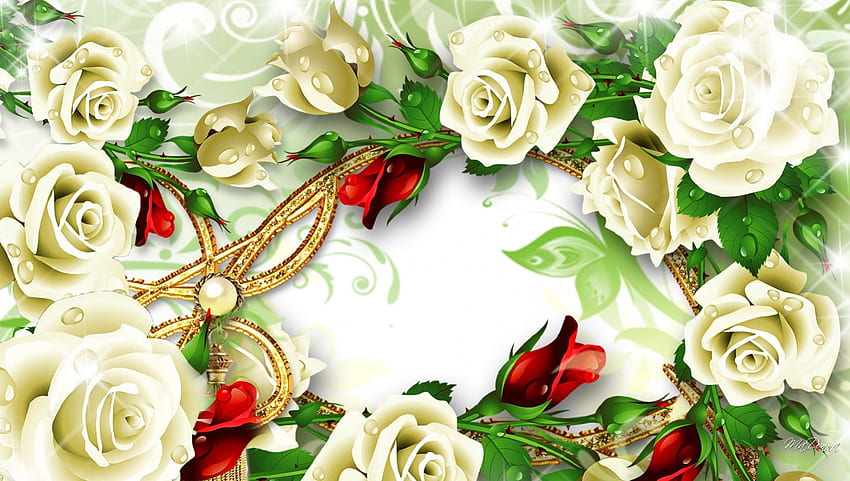 Dew on White Roses, summer, red rosebuds, white roses, flowers, romantic, dew, fresh, gold HD wallpaper