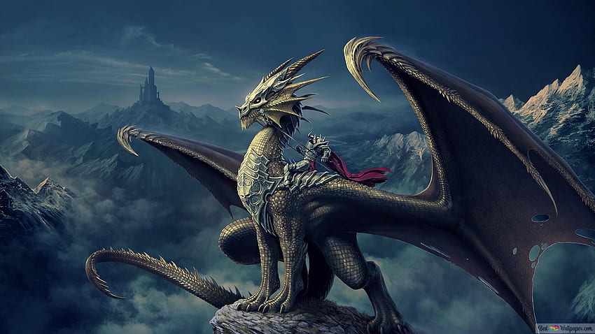 Voe dragão negro, dragão perigoso papel de parede HD