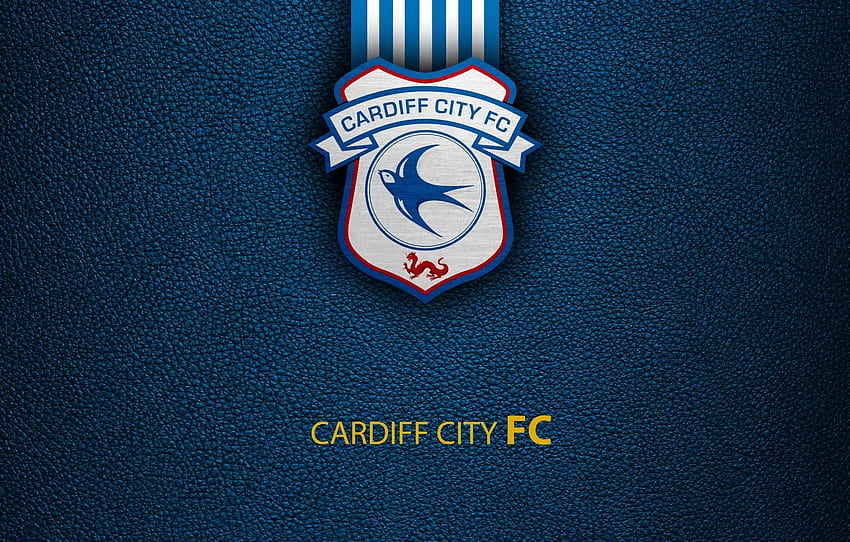 sport, logo, football, English Premier League, Cardiff City for , section спорт HD wallpaper