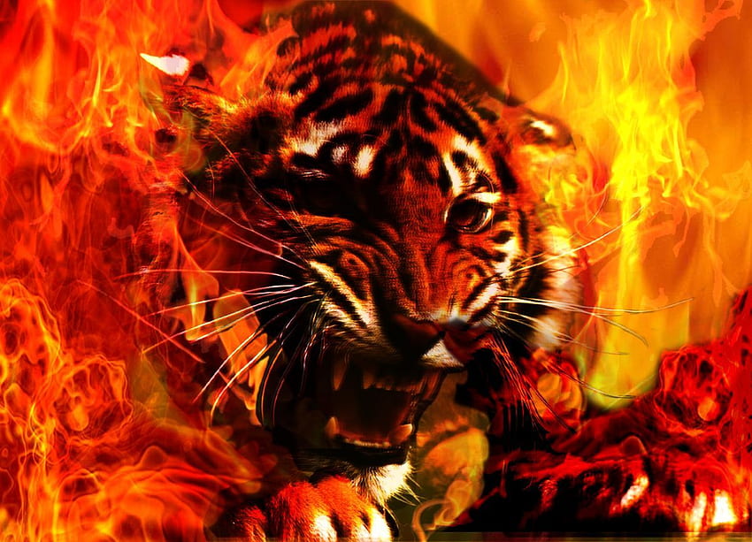 Tigre de Bengala em chamas papel de parede HD