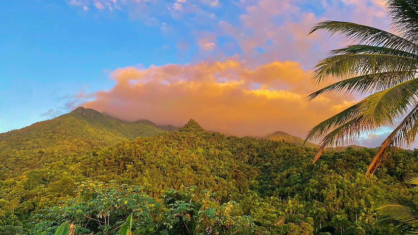 Bosque Nacional El Yunque al amanecer, Puerto Rico, colinas, árboles, paisaje, nubes, cielo, montañas, amanecer, palmeras fondo de pantalla