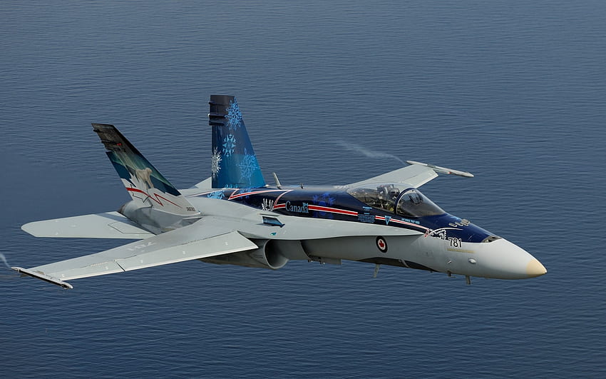 F-18 Hornet (캐나다 공군), 캐나다 공군, 제트기, 제트기, F18 Hornet HD 월페이퍼