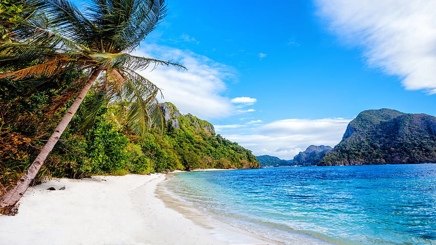 フィリピン、ビーチ、海、ヤシの木、青空、 Ultra Philippine Nature 高画質の壁紙
