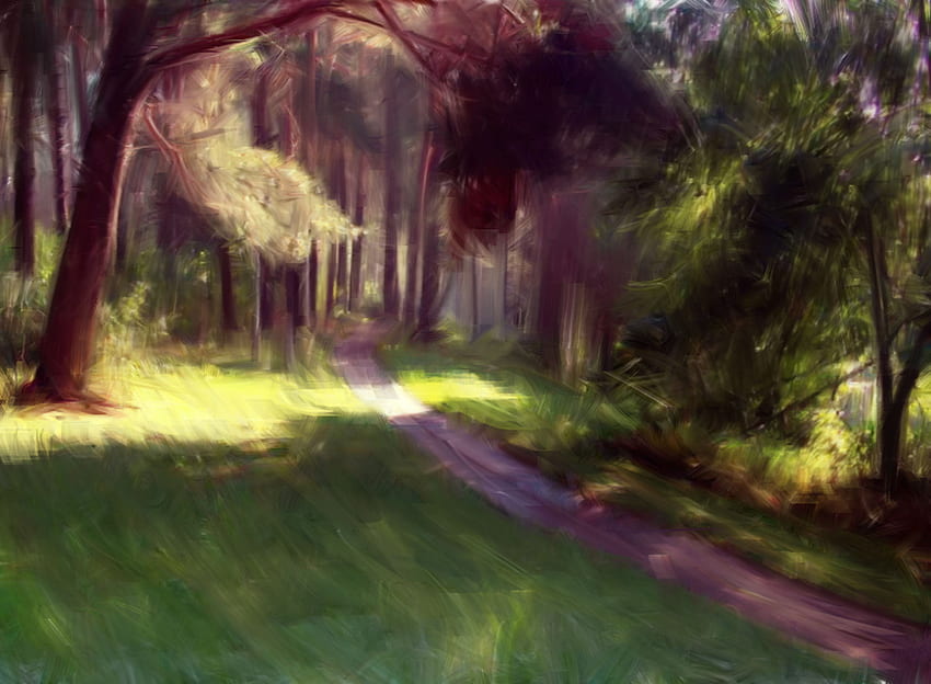 ป่าแสงแดด ต้นไม้ ทางเดิน แสงแดด ป่า วอลล์เปเปอร์ HD