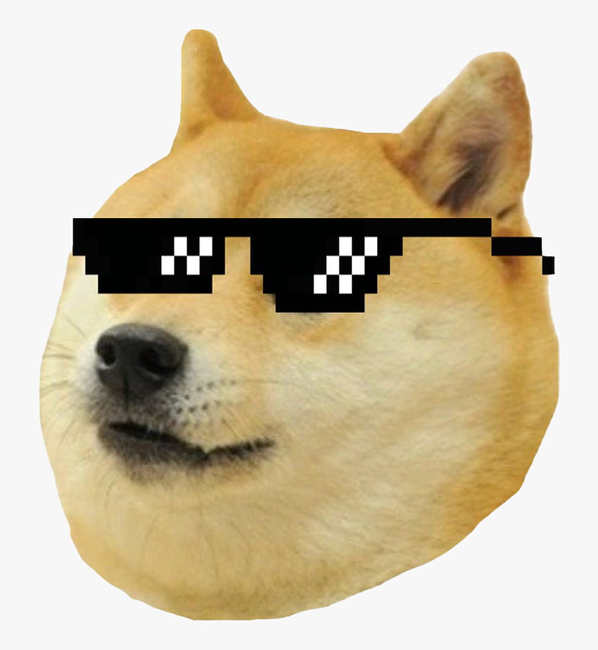 Doge Meme Png - Doge Meme 透明, Png , Transparent Png, Doggo Meme HD電話の壁紙