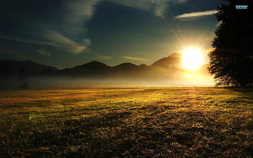 Wschód słońca nad łąką, chmury, trawa, niebo, wschód słońca Tapeta HD