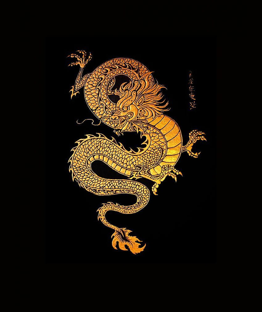 Dragon iPhone Background ` Dragon iPhone in 2020. Art de tatouage dragon, iPhone dragon, Art dragon et Esthétique dragon Fond d'écran de téléphone HD