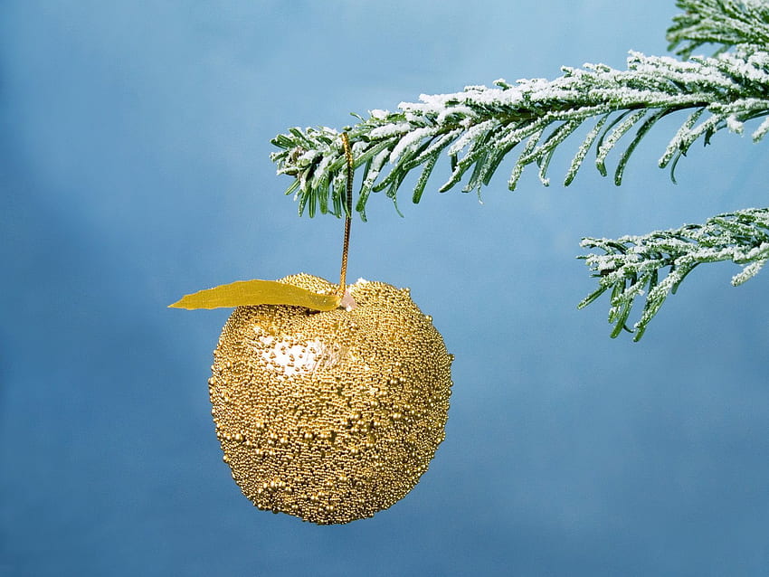 Holidays, Apple, New Year, Snow, Gold, Christmas, Branch, Christmas Tree, Decoration, Golden HD wallpaper