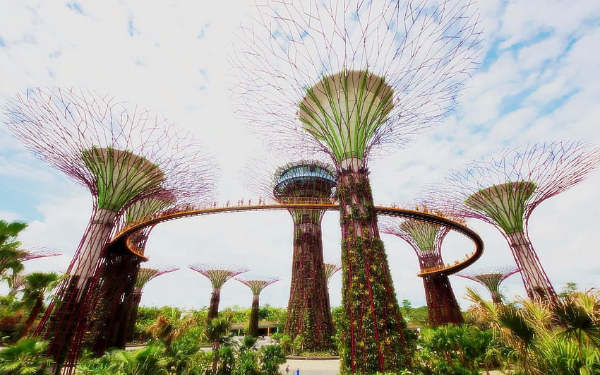 Gardens Singapore Architectural Landscape HD wallpaper