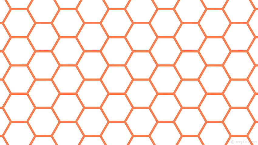 벌집 흰색 주황색 벌집 육각형 산호 HD 월페이퍼