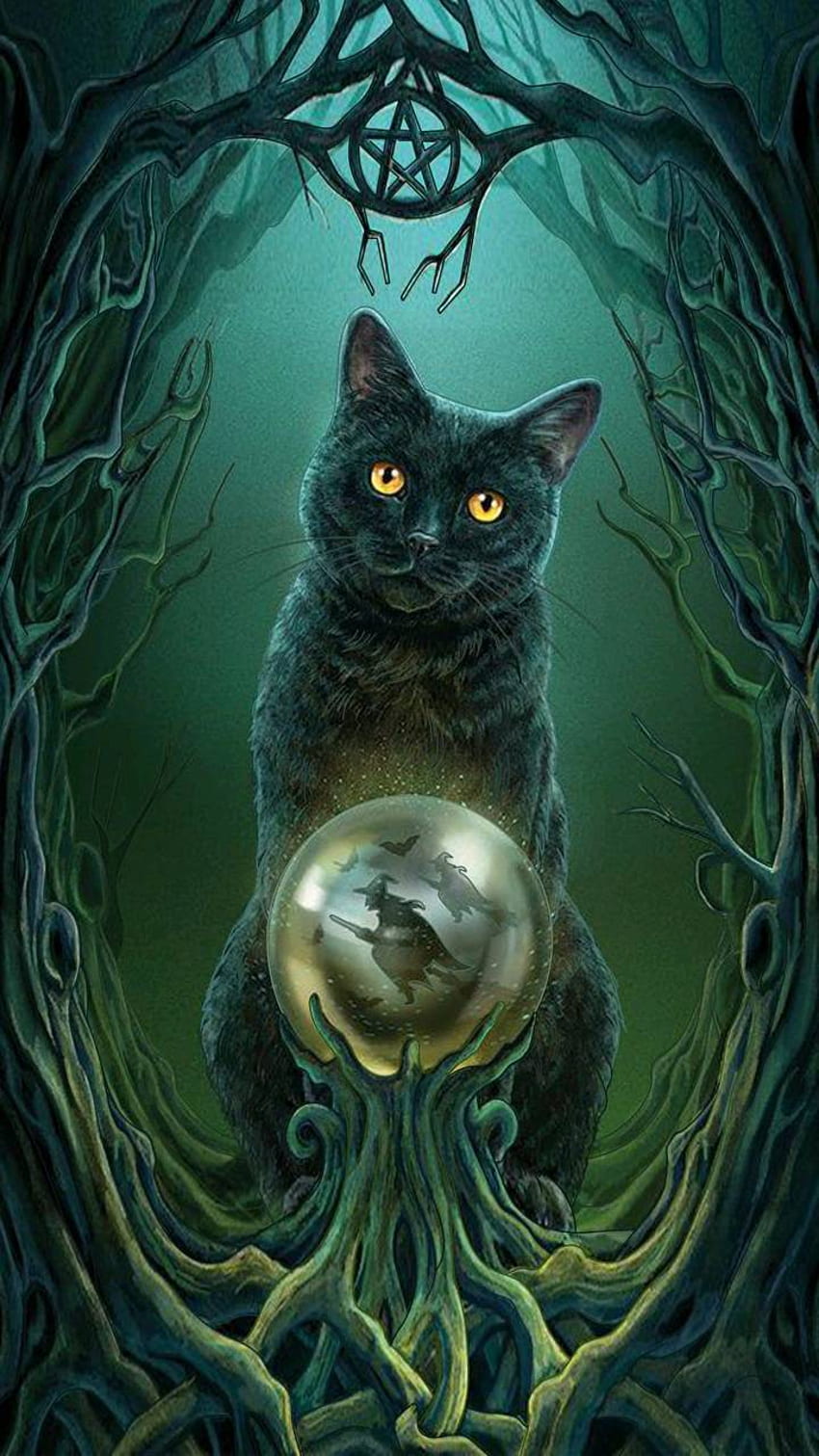Witch Cat, Beautiful Witch Cat HD phone wallpaper