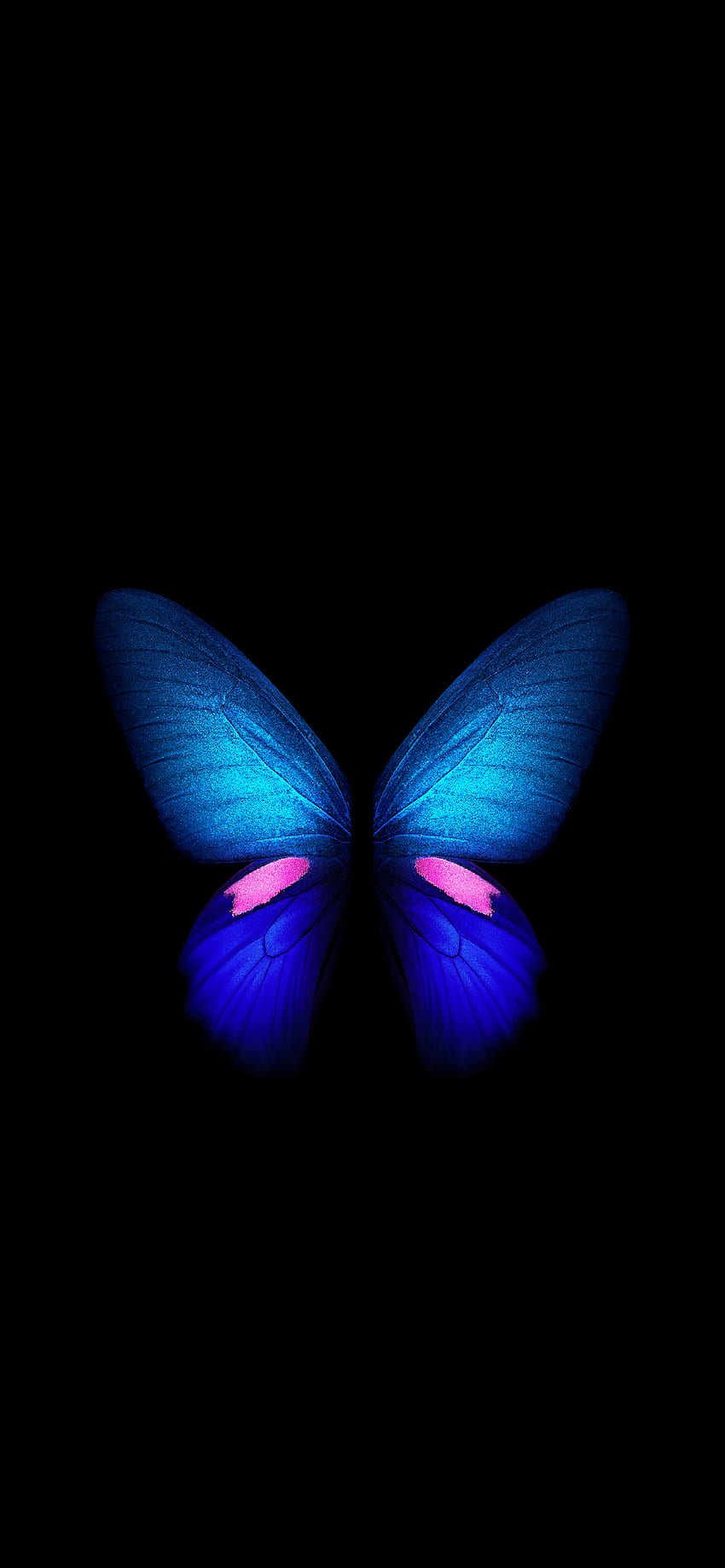 Butterfly - Galaxy Fold (Blue), Butterfly Blue Abstract HD phone ...