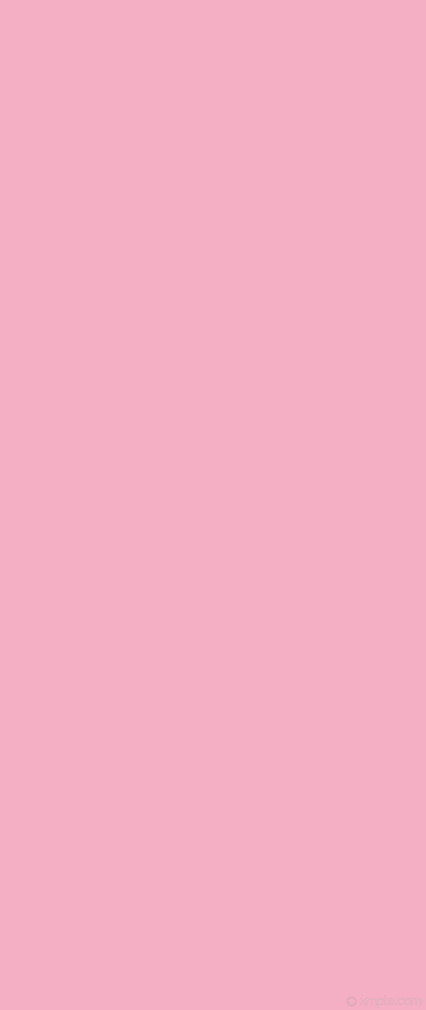 핑크 1색 단색 무지 싱글 라이트 핑크 HD 전화 배경 화면