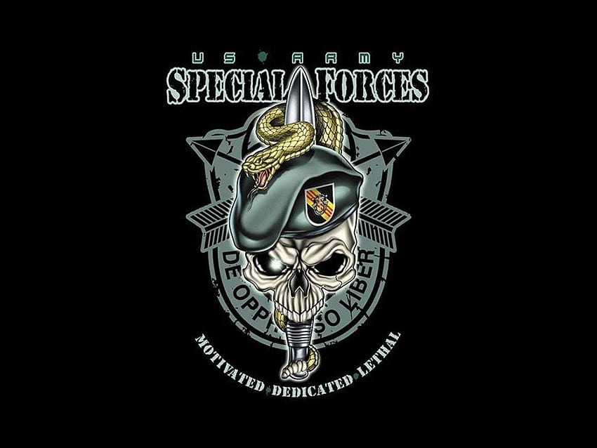 Special Forces-Logo, Para-Kommandos HD-Hintergrundbild