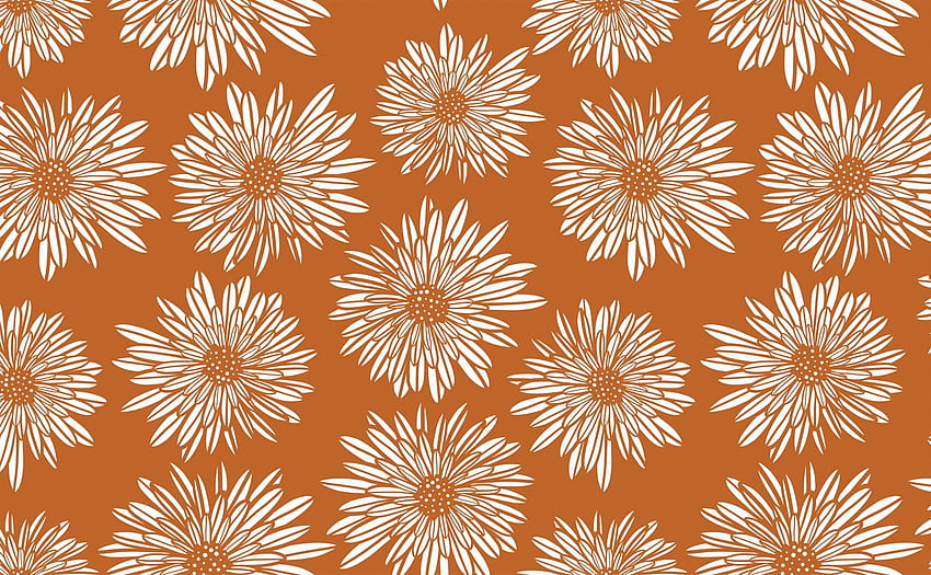 White daisy flower sketch terracotta Pattern for Walls. Terracotta Sun, Solid Pattern HD wallpaper