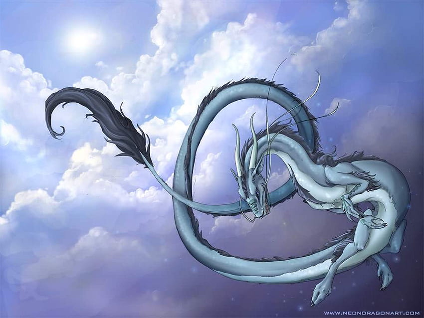 Air dragons. Virtual Space Amino HD wallpaper