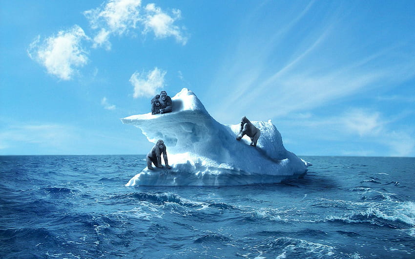 Animals, Sky, Sea, Gorilla, Iceberg HD wallpaper