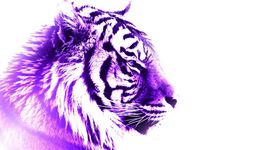 Purple Tiger Print HD wallpaper