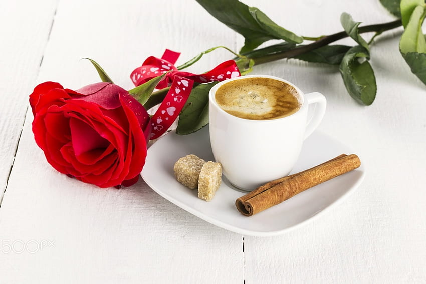 Cup of coffee, sugar, rose, Cup of coffee, red HD wallpaper