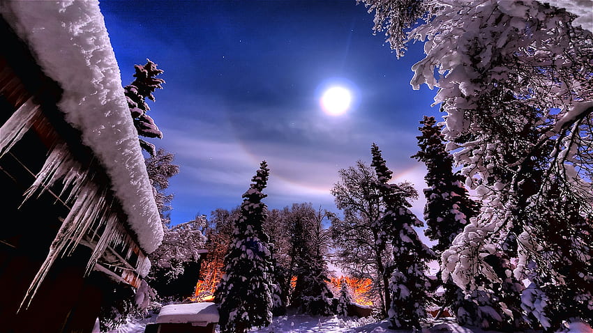 Ярка е Луната, зима, покрита, светеща, ледени висулки, красива, свежа, сняг, паднали, дървета HD тапет