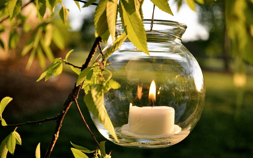 Nature, Leaves, Bank, , , Branch, Greens, Jar, Candle HD wallpaper