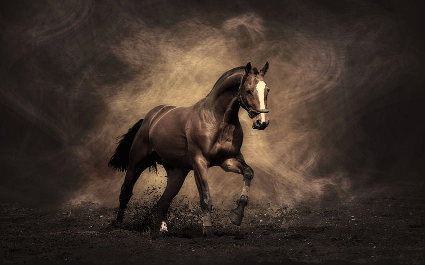 Horse 9D9. Fondo de pantalla de caballo, Caballos HD wallpaper | Pxfuel