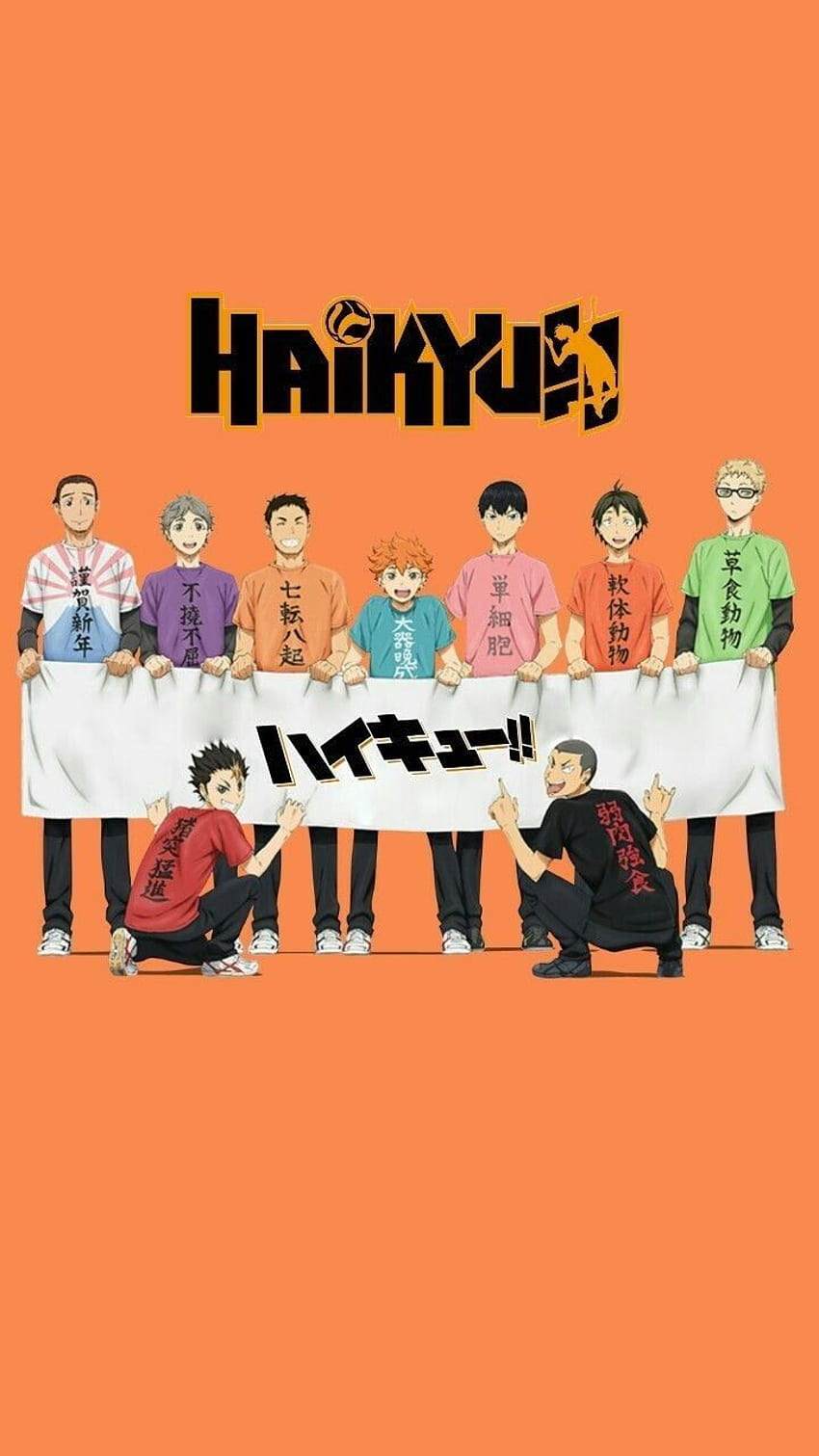 Karasuno Haikyuu, Anime Haikyuu, Équipe Haikyuu Fond d'écran de téléphone HD