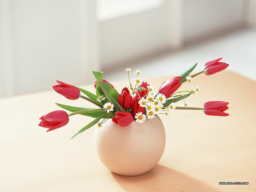 Flower Art 37, маса, червено, ваза, лалета, пролет, свежо, маргаритки HD тапет