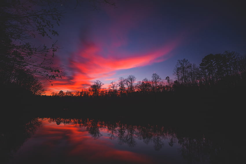 Rivers, Trees, Sunset, Sky, Horizon, Reflection, Dark HD wallpaper