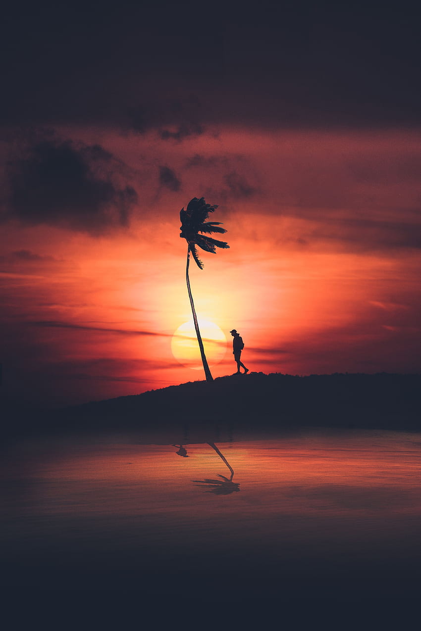 Sunset, Night, Dark, Silhouette, Privacy, Seclusion, Palm, Loneliness HD phone wallpaper