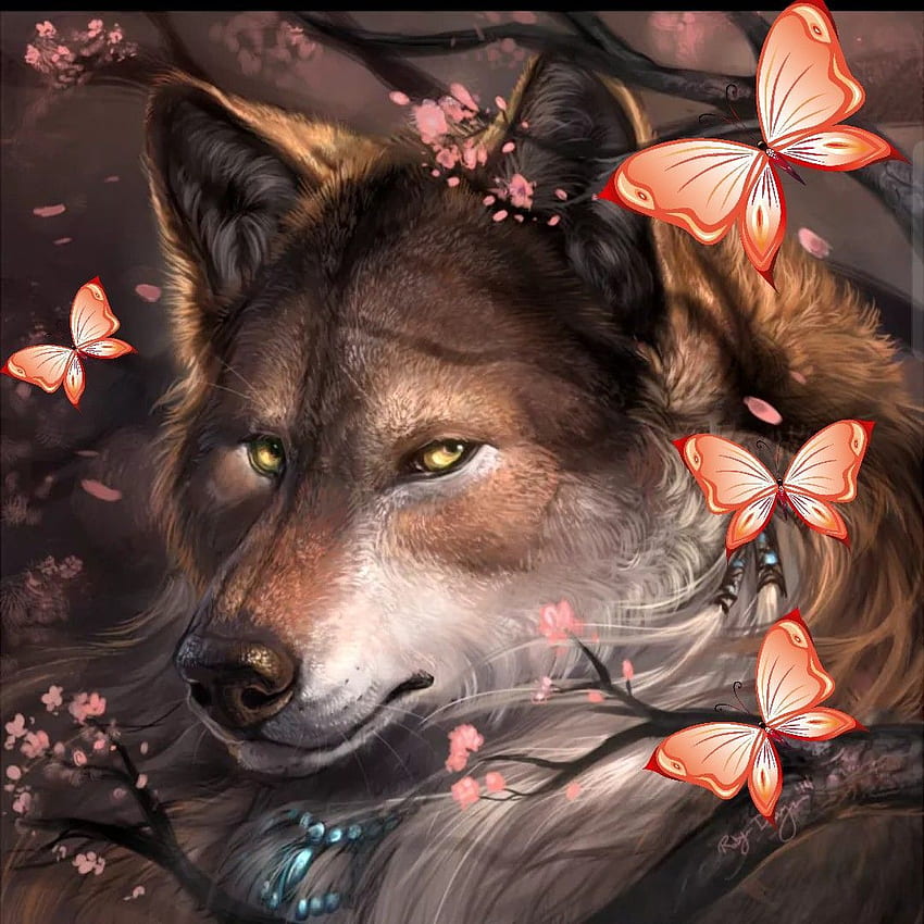 Morgan McGehee on wolves. Wolf drawing, Wolf , Anime wolf, Anime Wolf Face HD phone wallpaper