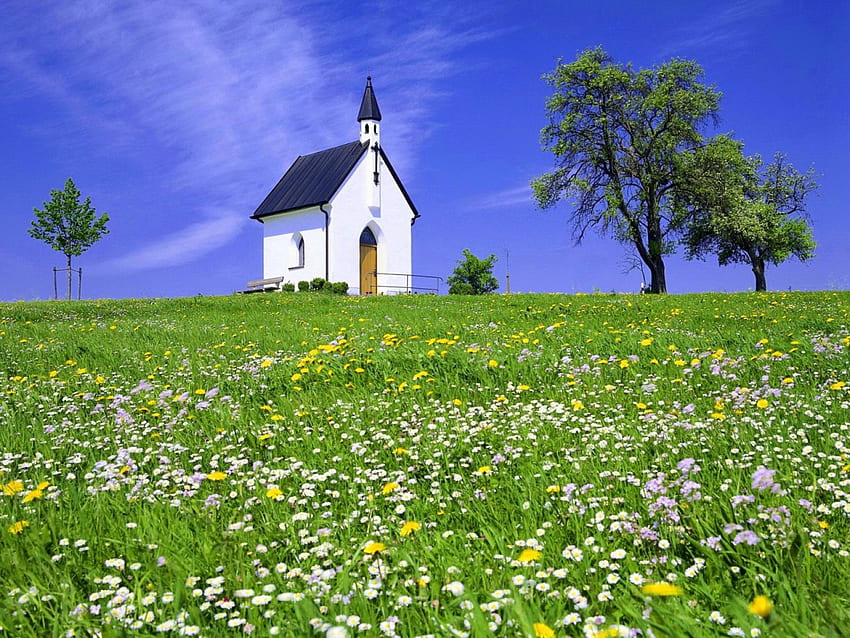 Gereja desa, lereng, padang rumput, indah, rumput, gereja, negara, segar, bagus, bunga liar, cantik, bidang, tanaman hijau, alam, bunga, langit, indah Wallpaper HD