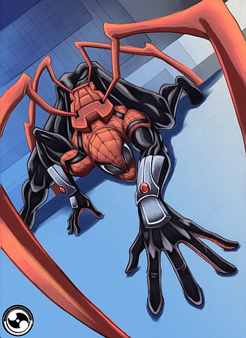 Hq superior spider man HD wallpapers | Pxfuel