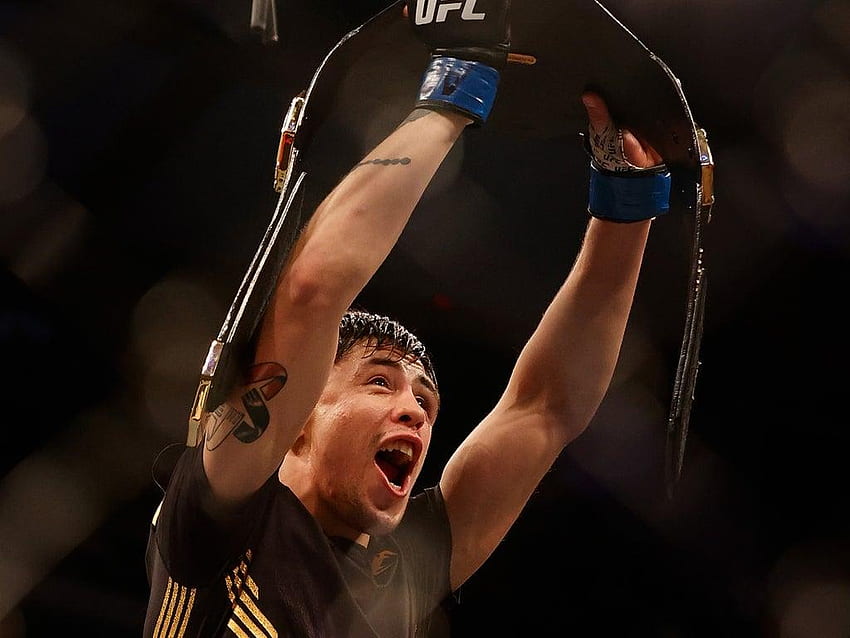 Brandon Moreno se convierte en el primer campeÃ³n UFC nacido en MÃ©xico HD wallpaper