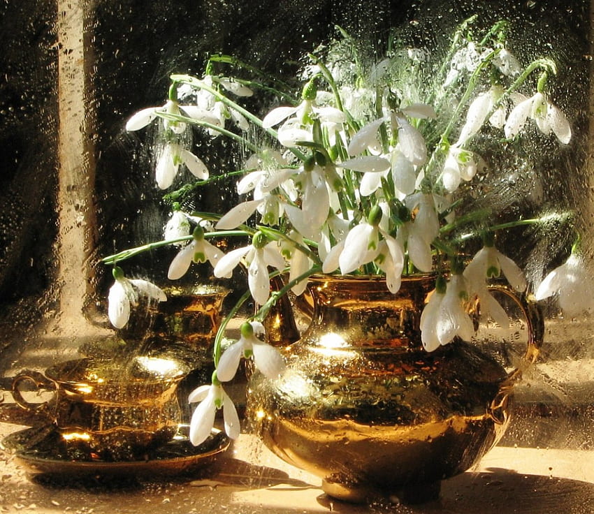Schneeglöckchen, Winter, weiß, Vase, klein, Frühling, Tassen, zart, Blütenblätter, Natur, Blumen HD-Hintergrundbild