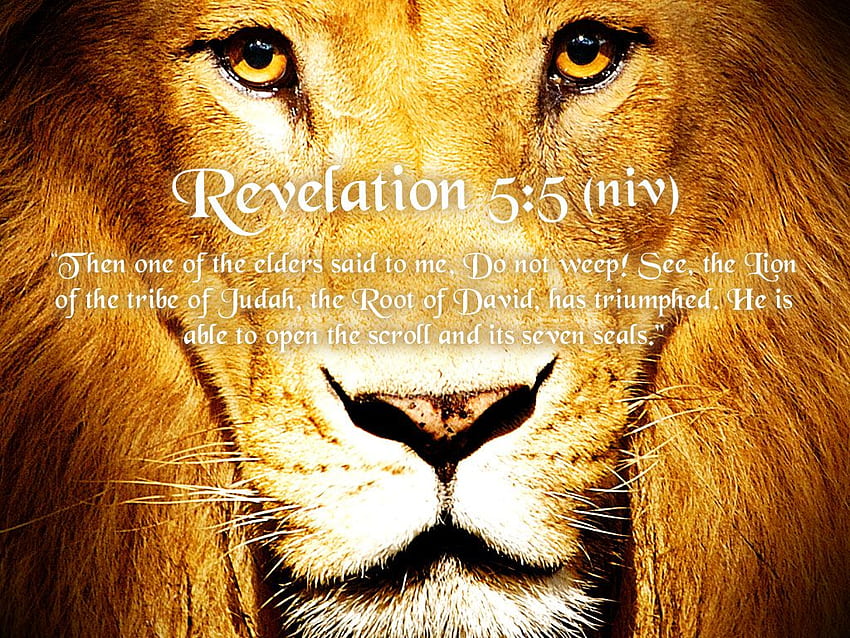 Lion Of The Tribe Of Judah Christian HD wallpaper | Pxfuel