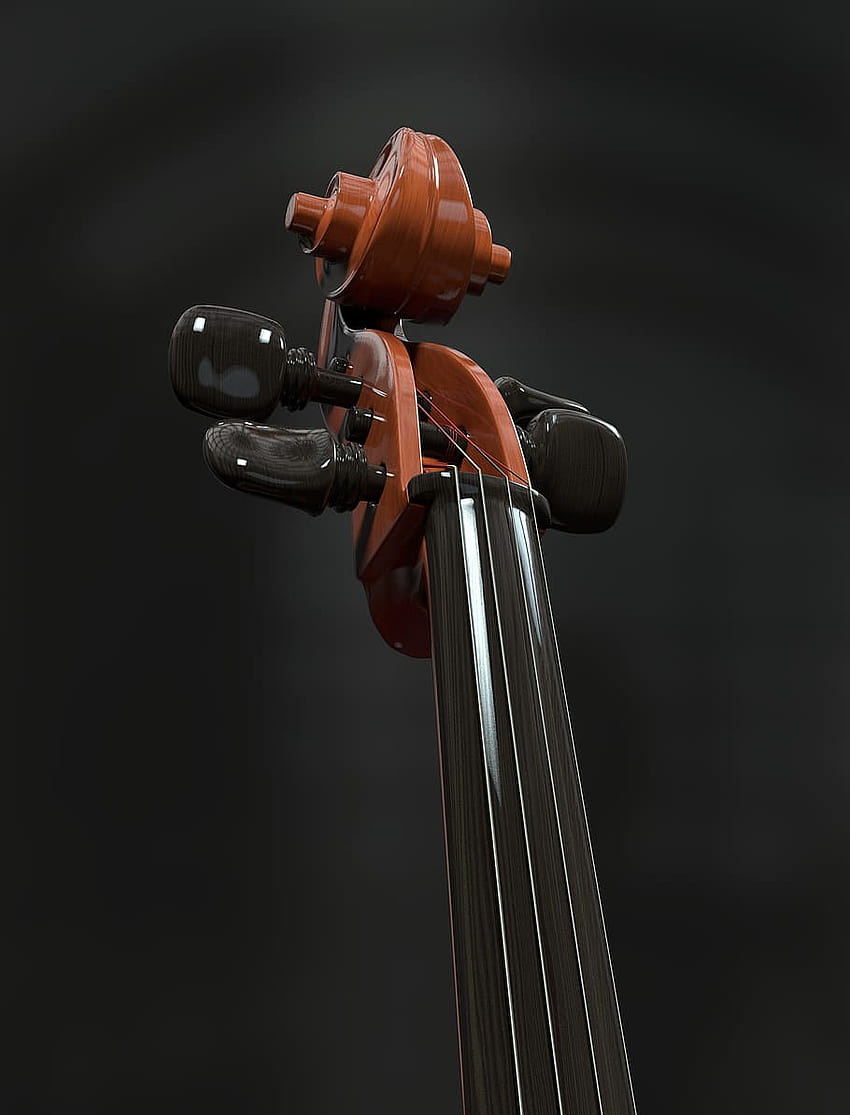 Violino marrone e nero, violoncello, archi, strumento a corda - violoncello -, strumenti a corda Sfondo del telefono HD