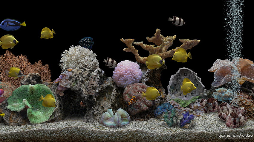 Marine Aquarium 32 PRO [] for your, 1600X900 Aquarium HD wallpaper