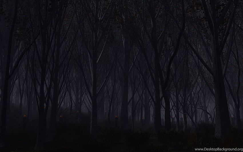 Haunted Forest Background HD wallpaper