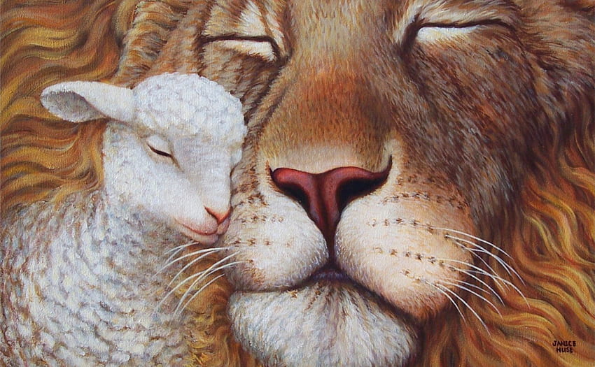 the lion and the lamb, lion, love, animals, lamb HD wallpaper