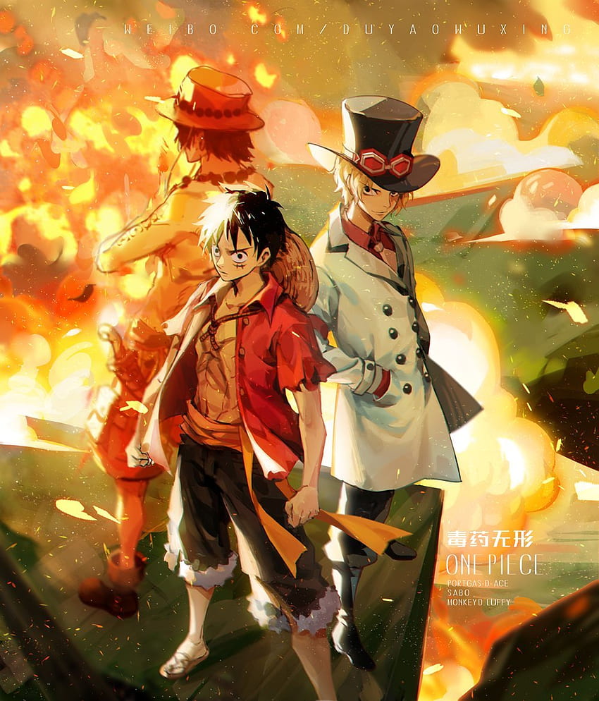 portgas d ace . Explore Tumblr Posts and Blogs, Kid Luffy Ace Sabo HD phone wallpaper