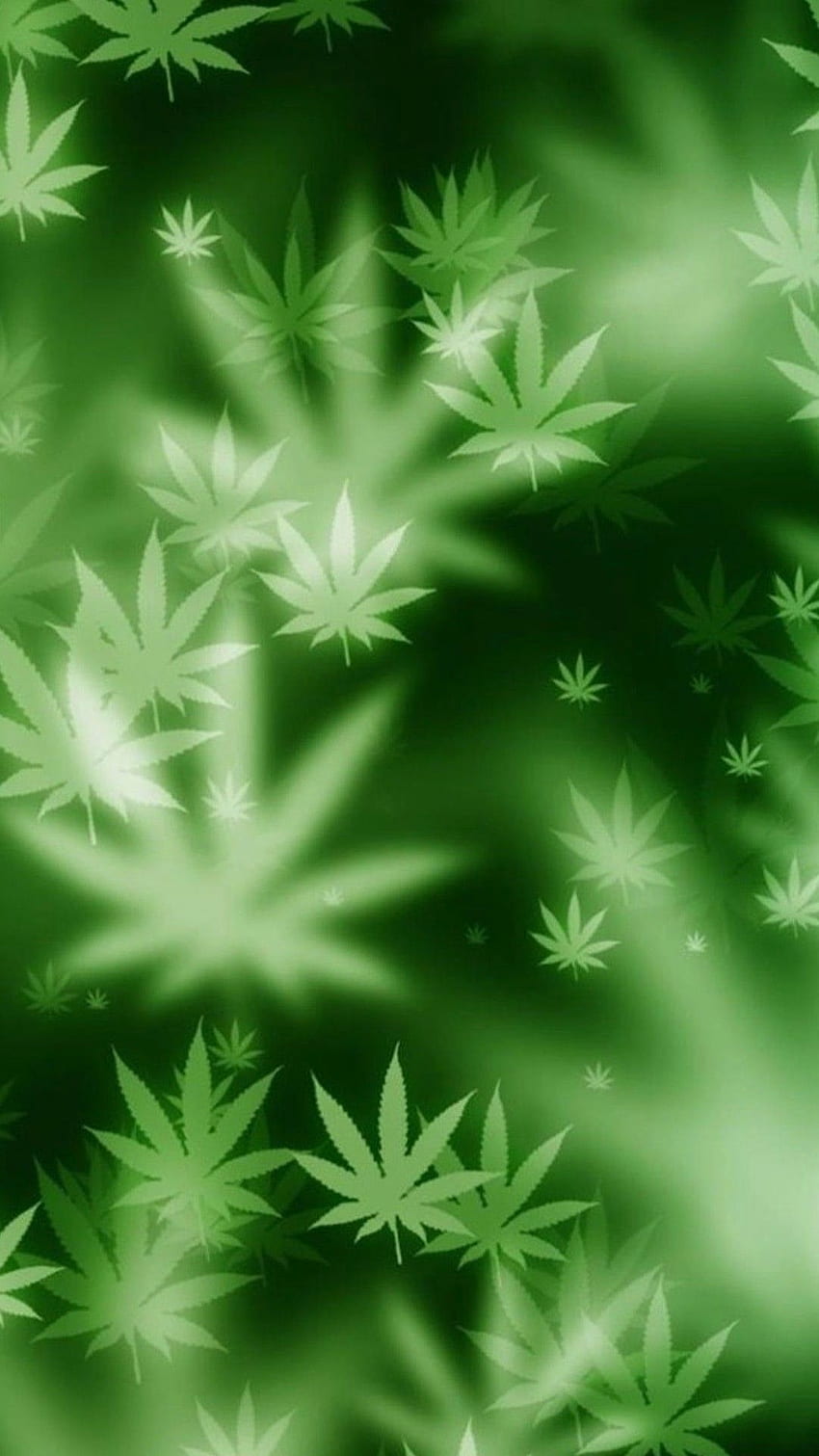 Fundo de erva daninha com desenho de folha verde Cannabis - maconha Papel de parede de celular HD