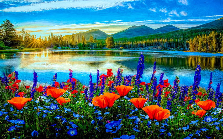 Mountain Summer Blooms, poppies, blossoms, clouds, sky, flowers, water, lake HD wallpaper