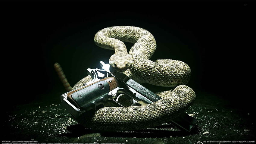 hitman absolution snake pc gaming gun / and Mobile Background HD wallpaper