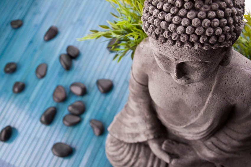 Meditation, buddha, plants, green, calm, statue HD wallpaper