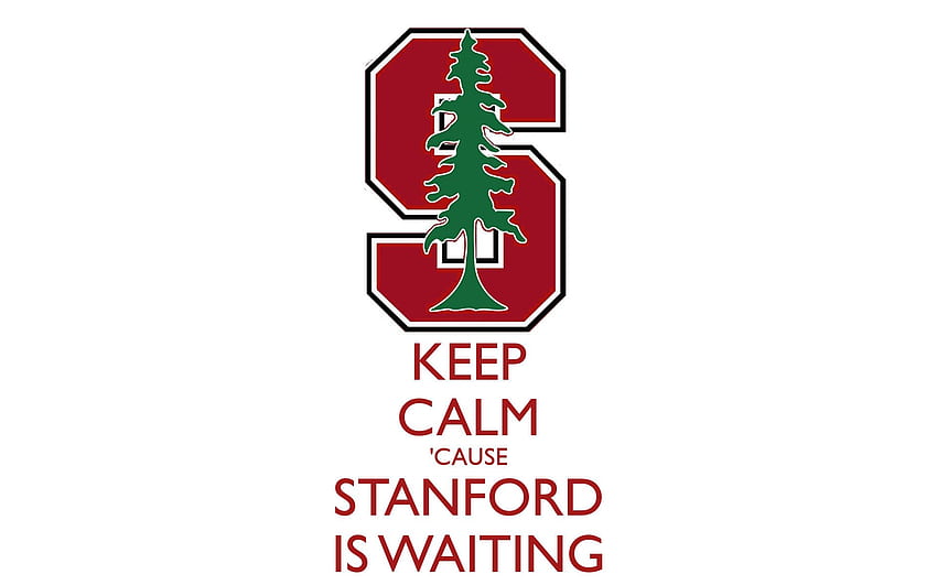 Stanford University, Harvard University HD wallpaper