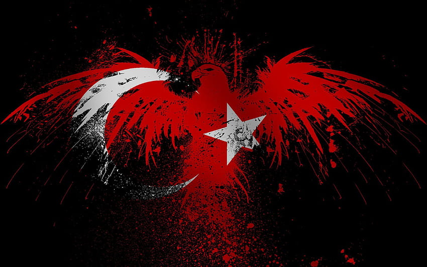 Turkish Flag 510985, Turkish Flag Black and White HD wallpaper