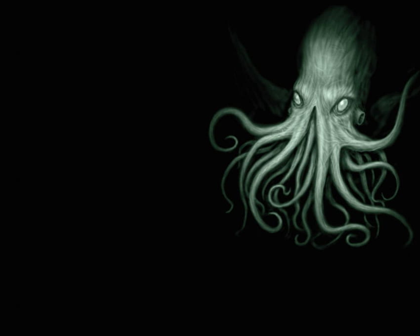 Squid HD Wallpapers and Backgrounds