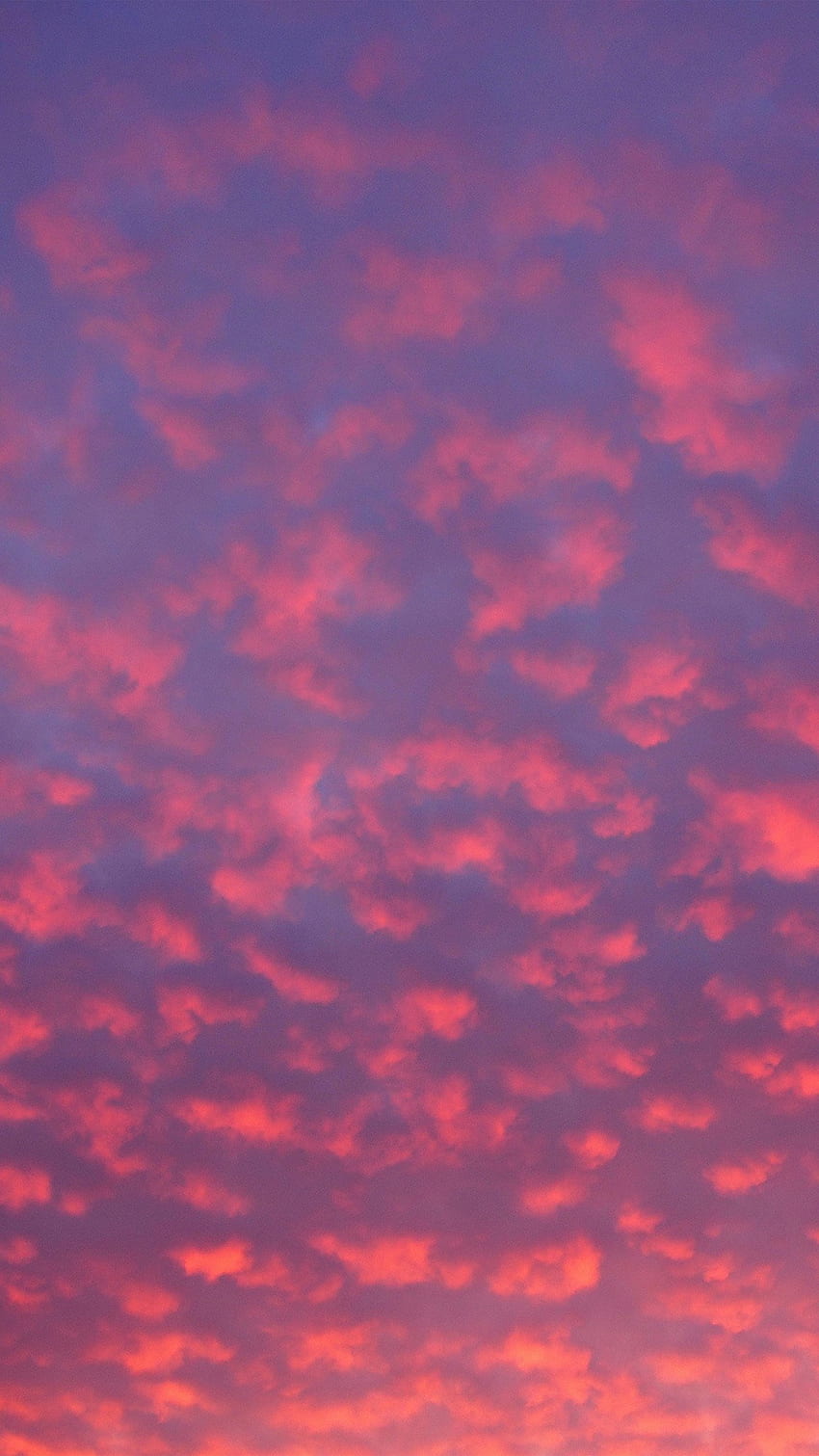夕焼け空、オレンジ色の雲 HD電話の壁紙